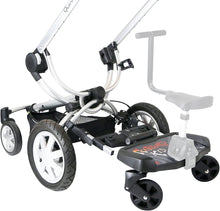 (x6 Units) iSafe SegBoard - Inca